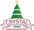 Crystal Trees 2.4