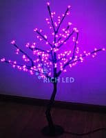   Rich LED  110, 24, 